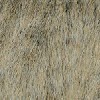 シンコール　OFFICIAL　BLOG