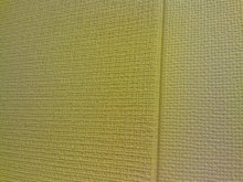 シンコール　OFFICIAL　BLOG