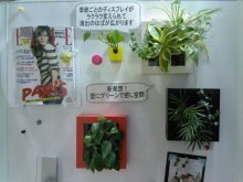 シンコール　OFFICIAL　BLOG